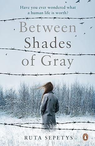 book cover betweem shades of gray